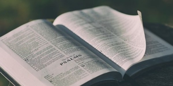 Otwarta Biblia